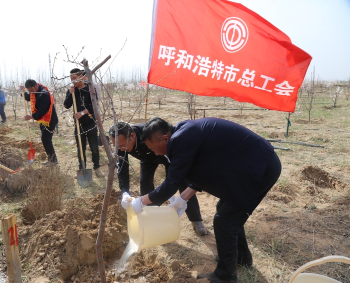 微信图片_20200415151904
