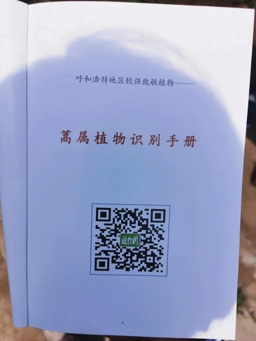 微信图片_20200721095029