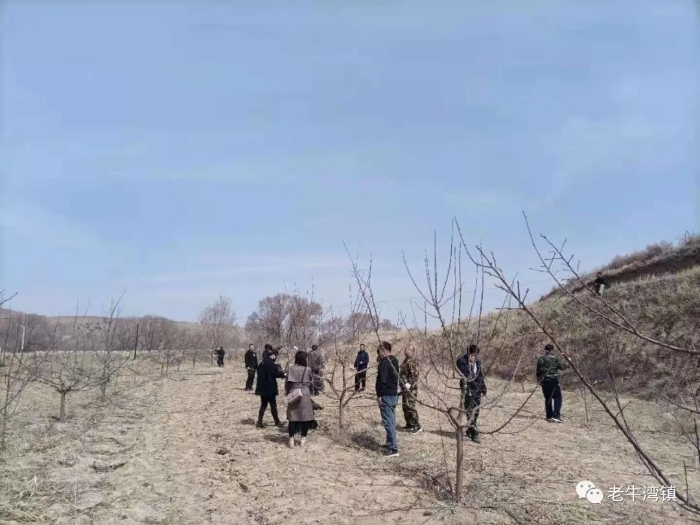 微信图片_20210409101421