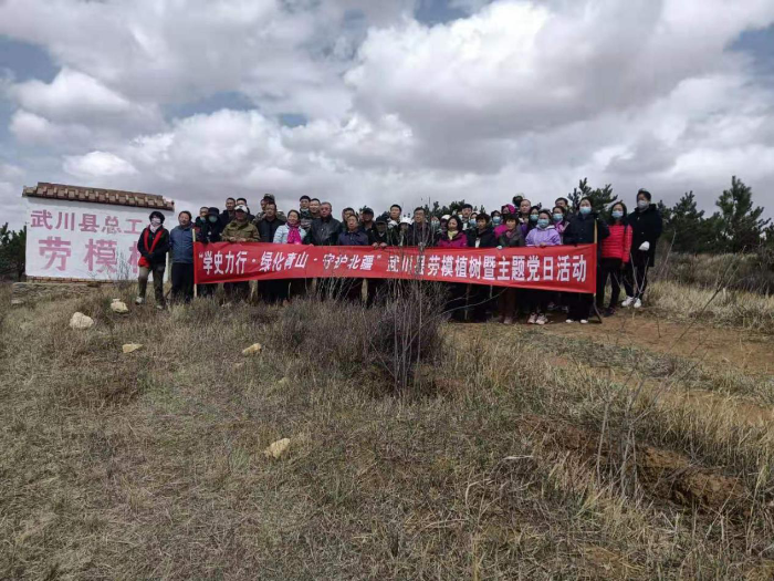 图片5