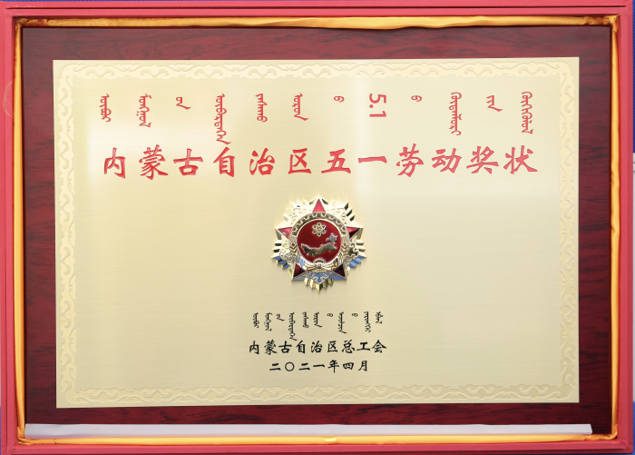 图片21