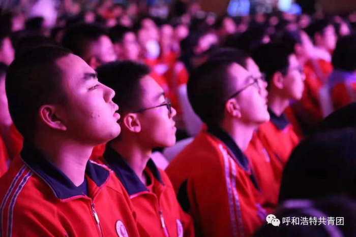 图片19