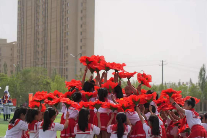 图片14