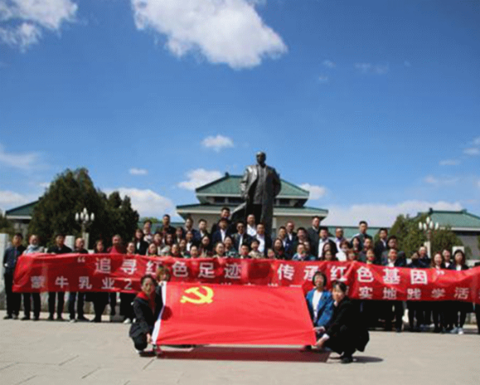 图片8