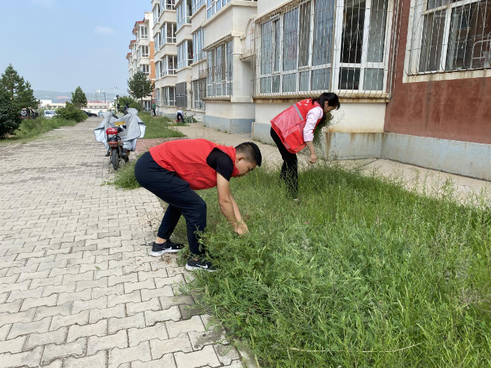 图片4 图片4