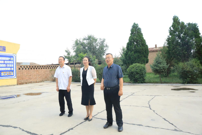 图片6
