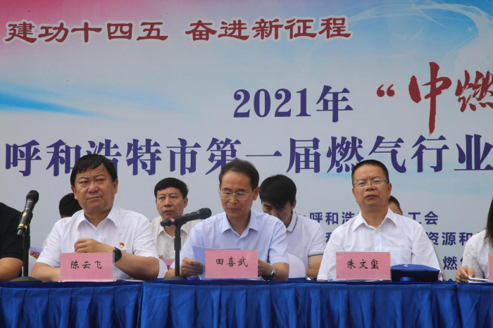 图片12