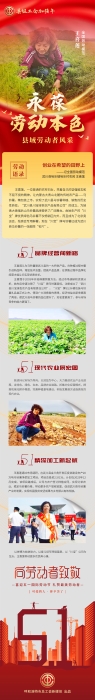 01-王喜莲-永葆劳动本色-长图-01