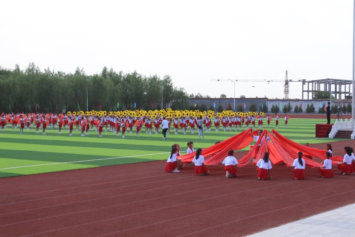 IMG_3647(1)